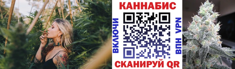 Купить где  Волоколамск  Конопля THC 21% 